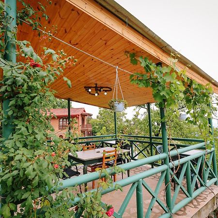 Sighnaghi Garden House Hotell Exteriör bild